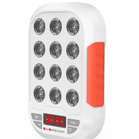 red light panel